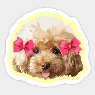 Baby Poodle Sticker